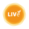 SimpleLifeMind Logo